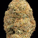🍦 Ice Cream CBD – 🇺🇸 Origine : Californie | 🏆 Gagnante de la High Life Cup