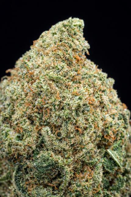 🌱 M.A.C. CBD –🇺🇸 Origine : Californie 🏆 Gagnante de la 420 Hemp Fest 2020