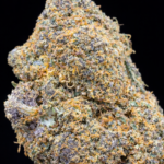 Rainbow-cbd-hash-lab-
