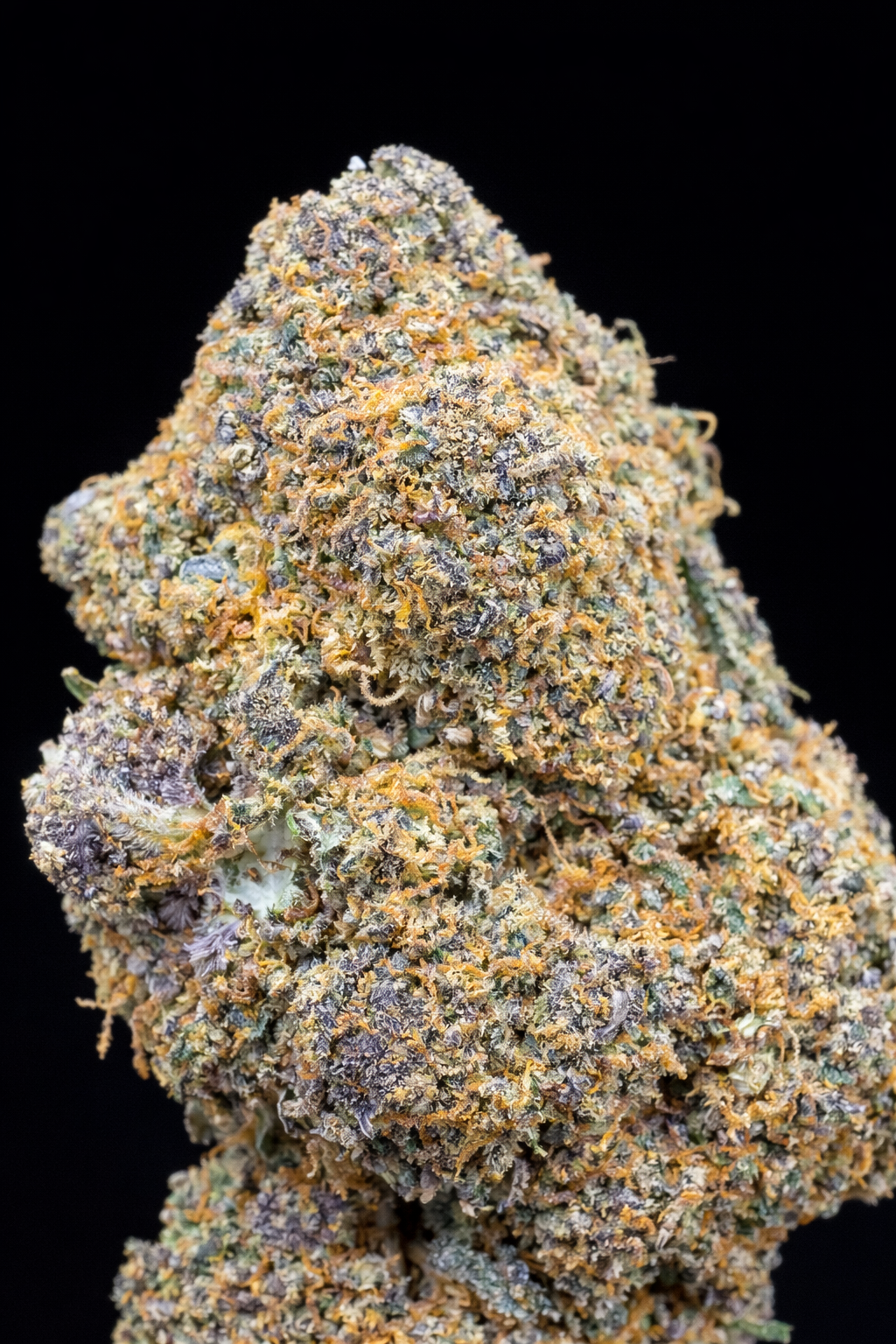 Rainbow-cbd-hash-lab- Rainbow-cbd-hash-lab-