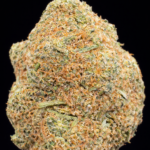 🍍 Pineapple CBD - 🇺🇸 Origine : Californie 🏆 Gagnante de la Cosecha Cup 2022