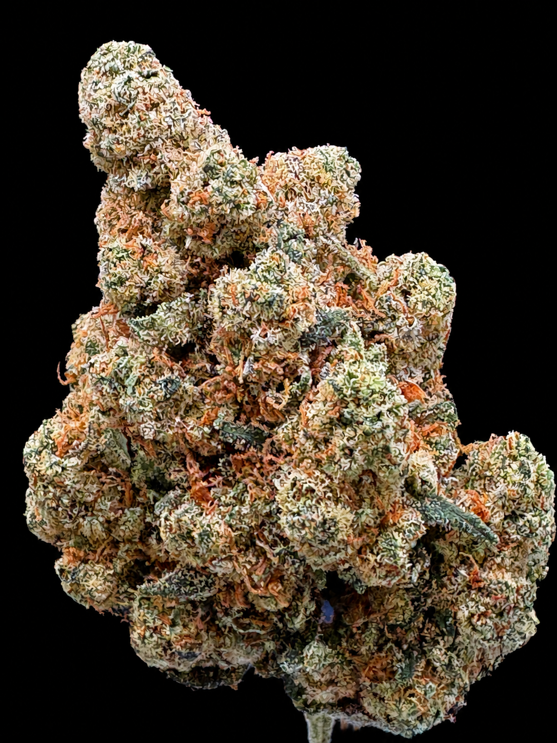 AMNESIA INDOOR HASHLAB CBD Amnesia indoor hashlab cbd