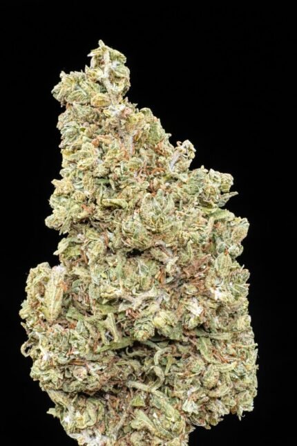 🌿 Amnesia Greenhouse – Fleur CBD