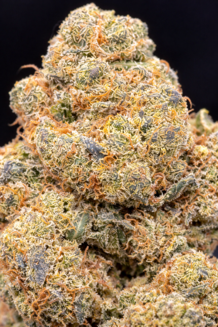 🌿 Amnesia Hydro CBD – Fleur premium cultivée en hydroponie