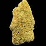 🍪 Girl Scout Cookies CBD – 🇺🇸 Origine Californie