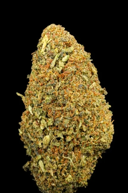 Head Banger CBDX – Fleur Premium aux Arômes d’Agrumes et de Citron 🍋