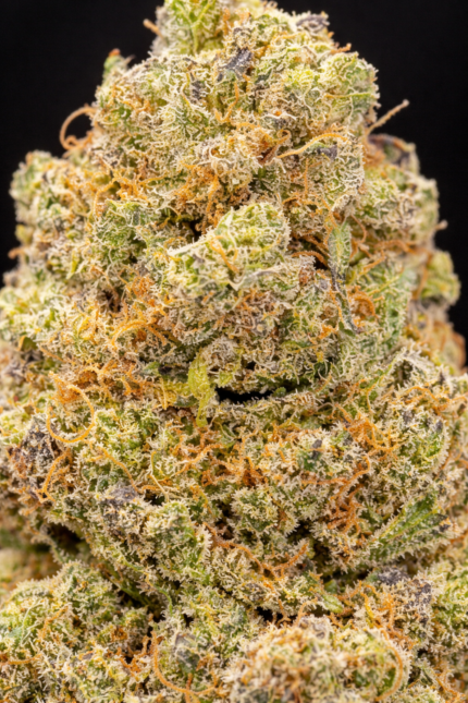 🌿 Northern Light Hydro CBD – Fleur premium cultivée en hydroponie