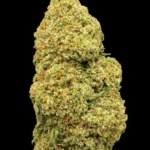 Platinum Cookie CBDX – Plante de Chanvre Sativa L 🍪 | Puissance & Gourmandise "Bakery"