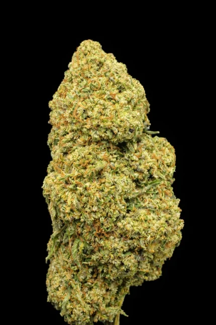 Platinum Cookie CBDX – Fleur Premium aux Notes Sucrées et Gourmandes 🍪