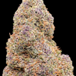 🍇 Purple Gelato CBD – 🇺🇸 Origine : Californie 