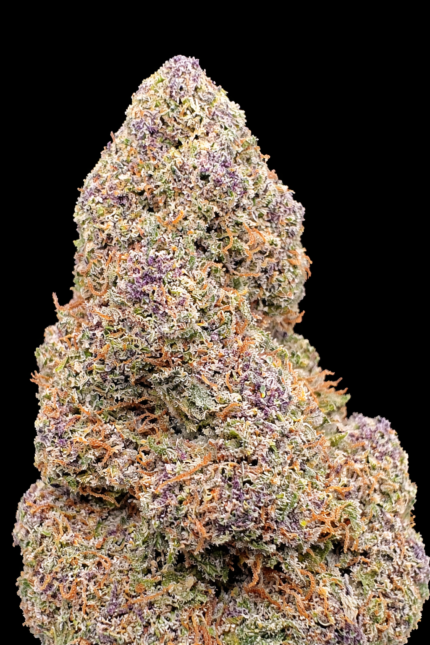 🍇 Purple Gelato CBD – 🇺🇸 Origine : Californie 