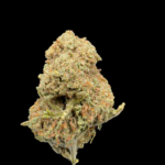 👽 Alien Outdoor CBD – Fleur cultivée en plein air