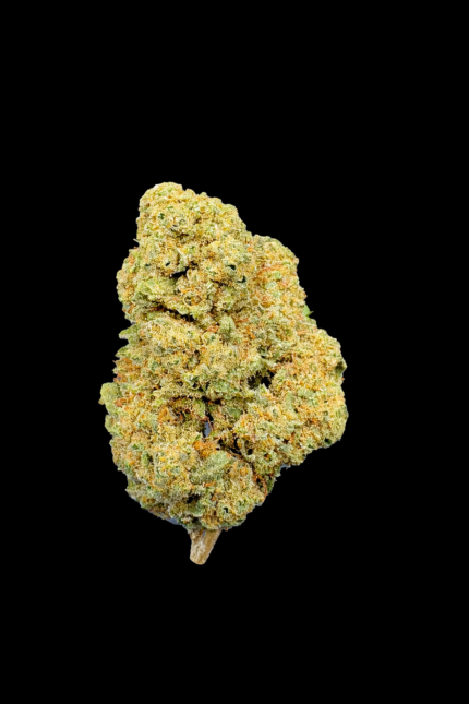 🚀 Apollo Outdoor CBD – Fleur cultivée en plein air