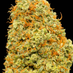 🍊 Orangello Indoor – Fleur CBD Premium aux arômes d’orange