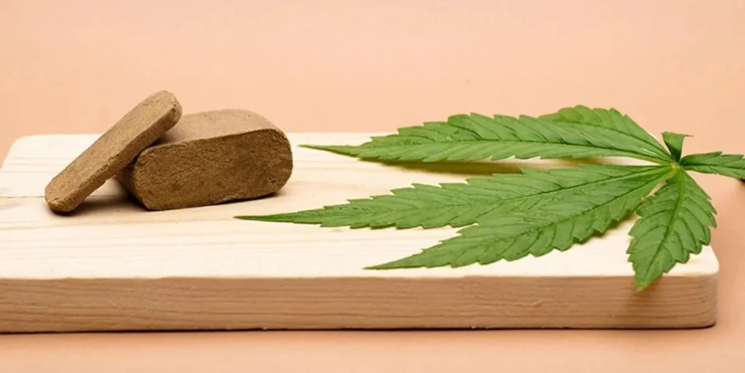 resine-de-chanvre-qualite-hashlab