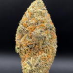 Fleur CBD Zkittlez premium sélectionnée par Hash Lab, têtes denses, résineuses et riches en terpènes, qualité californienne.