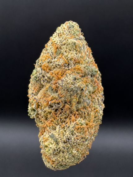 Fleur CBD Zkittlez premium sélectionnée par Hash Lab, têtes denses, résineuses et riches en terpènes, qualité californienne.