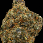Gelato californienne cbd hash lab
