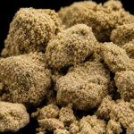 TROPICAL RUNTZ | Drysift cbd hash lab