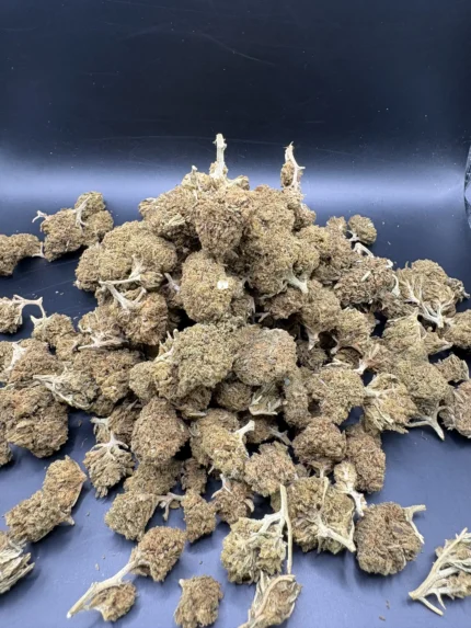 popcorncbdpascherhashlab